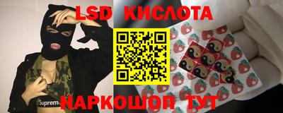 молекула духа Будённовск