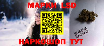 молекула духа Будённовск