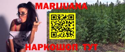 молекула духа Будённовск