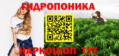 молекула духа Будённовск